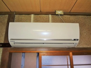 DSC070731
