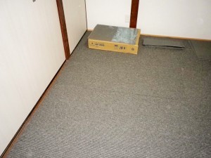 IMGP2392