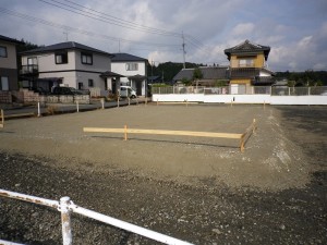 IMGP2412