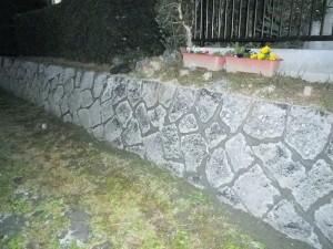 IMGP2432