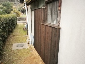 IMGP2538