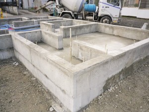 IMGP2565