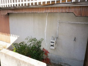 IMGP2355
