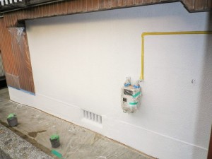 IMGP2826