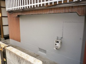 IMGP2941