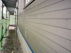 IMGP3017