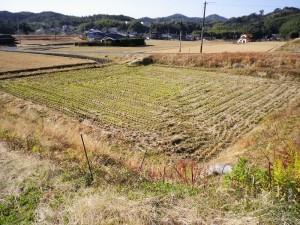 IMGP2814