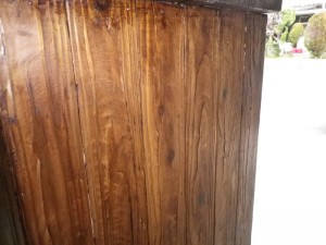 IMGP3068