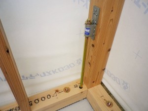 IMGP3100