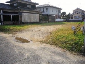 IMGP2469