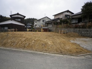 IMGP3246