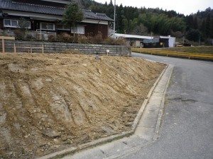 IMGP3255