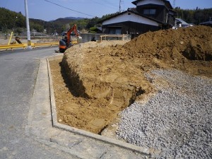 IMGP3371