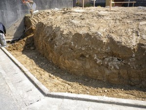 IMGP3373