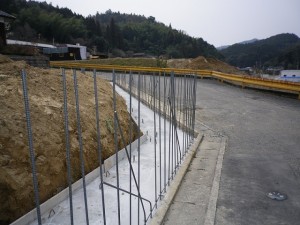 IMGP3453