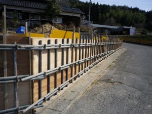 IMGP3481