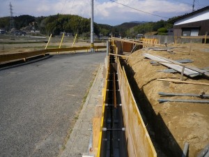 IMGP3488