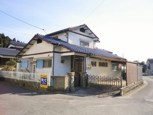 IMGP3356
