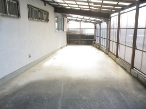 IMGP3522
