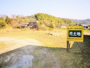 IMGP3579