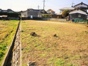IMGP3590