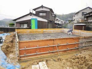 IMGP3650