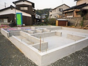 IMGP3701