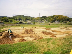 IMGP3827