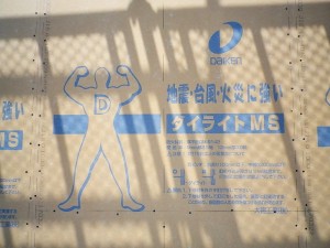 IMGP3832