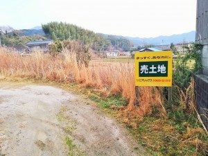 IMG_20170327_150940