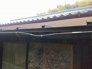 IMG_20170329_181137