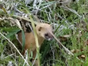 IMG_20170401_143739