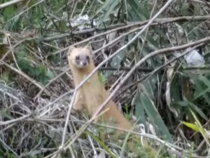 IMG_20170401_143752