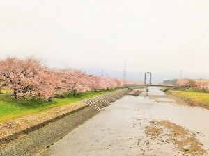 IMG_20170408_163522