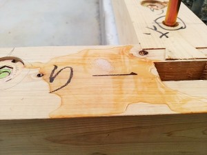 IMG_20170420_075722