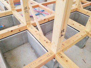 IMG_20170420_122930