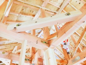 IMG_20170428_114814