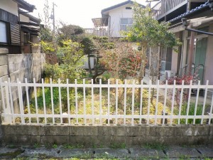 IMGP3523