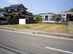 IMGP3862