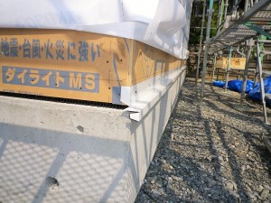 IMGP3885