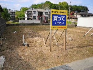 IMGP3895
