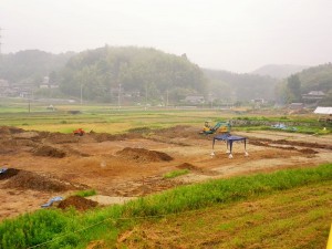 IMGP3973