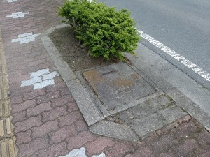 IMG_20170514_182126 (1)
