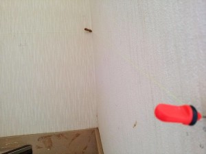 IMG_20170529_134025