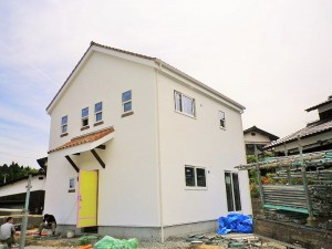 IMGP4105