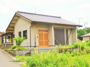 DSC0262822 (1)