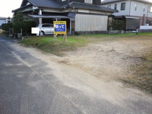 IMGP2502