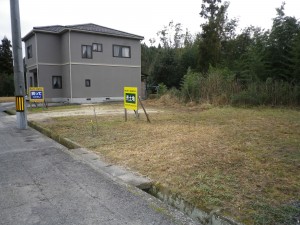 IMGP2784