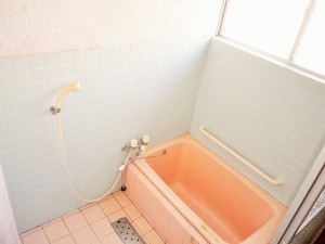 IMGP3507