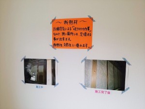 IMG_20170715_094237 2